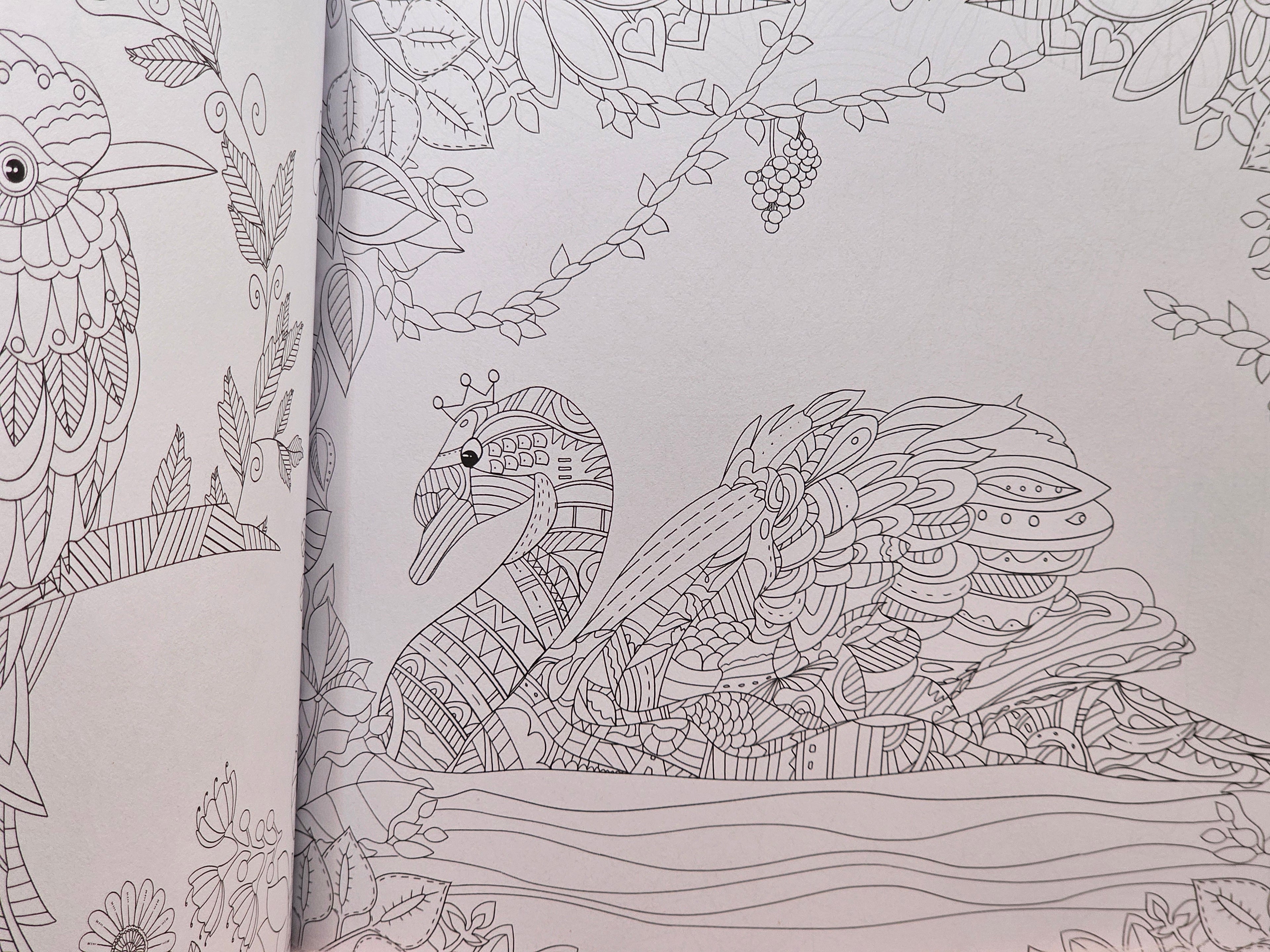 The Enchanted Forest Colouring Book