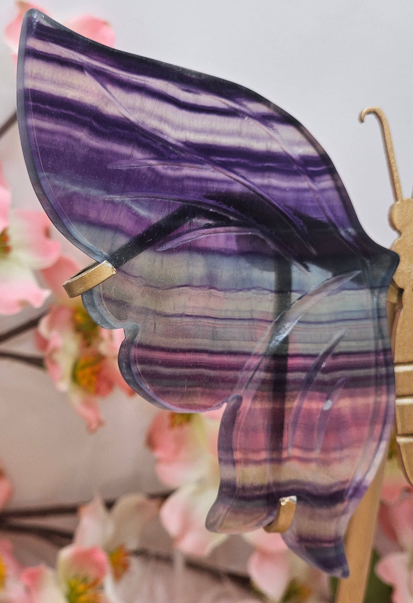 Flourite Butterfly Wings