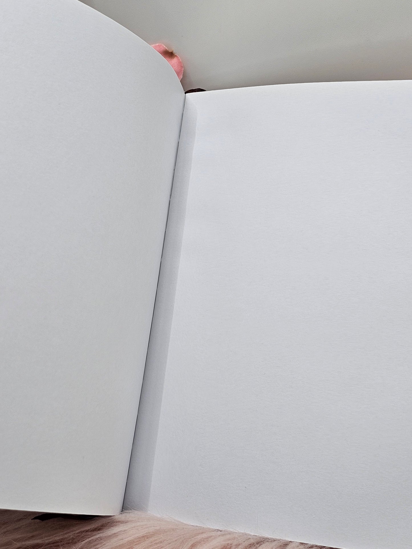 Dragon Notebook